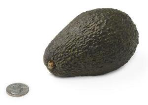 16-avocado